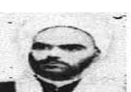 محمدرضا قمشه‌ای (مدرس عرفانی و حکمی)